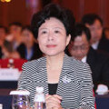 四川省副省長(zhǎng)-黃彥蓉
