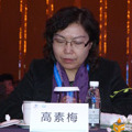 工業(yè)和信息化部運(yùn)行監(jiān)測(cè)高素梅