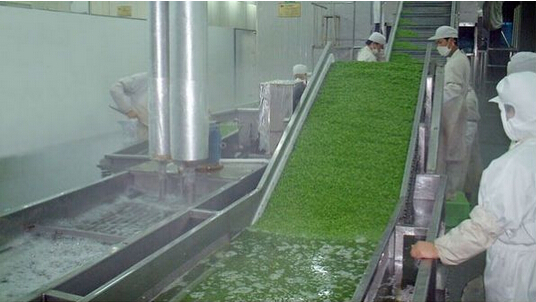 蔬菜清洗機市場需求高速增長 未來節(jié)水還要去農(nóng)殘