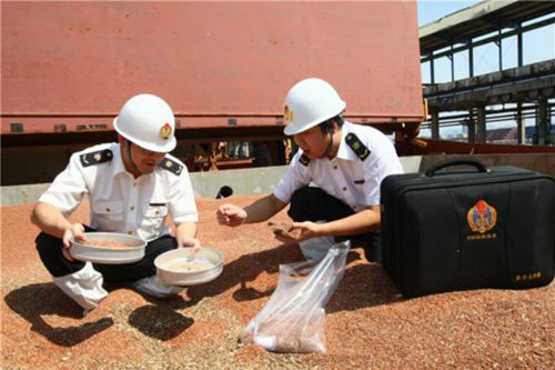 進出口糧食檢疫嚴把控 新辦法7月份正式執(zhí)行