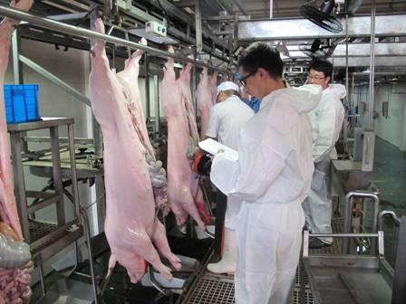 農(nóng)業(yè)部擬組織對《生豬屠宰管理?xiàng)l例》進(jìn)行修訂 農(nóng)業(yè)部擬組織對《生豬屠宰管理?xiàng)l例》進(jìn)行修訂