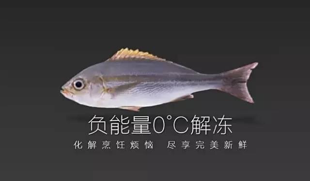 不用水不用電10分鐘解凍任何食材，簡(jiǎn)直廚房黑科技