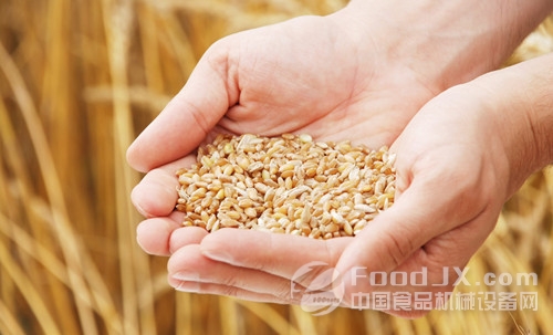 四部門聯(lián)合發(fā)文加強(qiáng)國(guó)家政策性糧食出庫(kù)管理