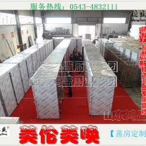【大廠制造】雙門72盤饅頭蒸房，河北保定高產(chǎn)量包裝蒸房定做