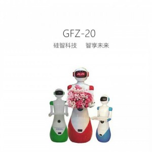 餐飲機器人，送餐機器人，迎賓機器人，講解機器人