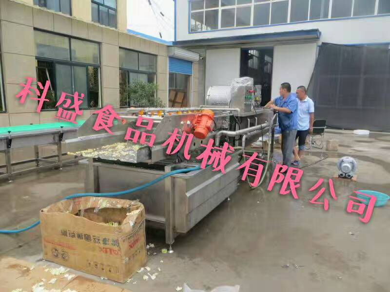 諸城科盛 大米渦流震動清洗機(jī)生產(chǎn)廠家 青菜漂燙機(jī)價(jià)格