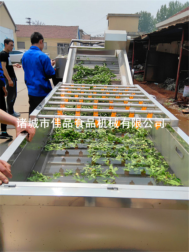 佳品機械5米蔬菜清洗機原理優(yōu)點