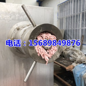 大型凍肉絞肉機(jī)，250型凍肉絞肉機(jī)，凍肉絞肉機(jī)大圖片
