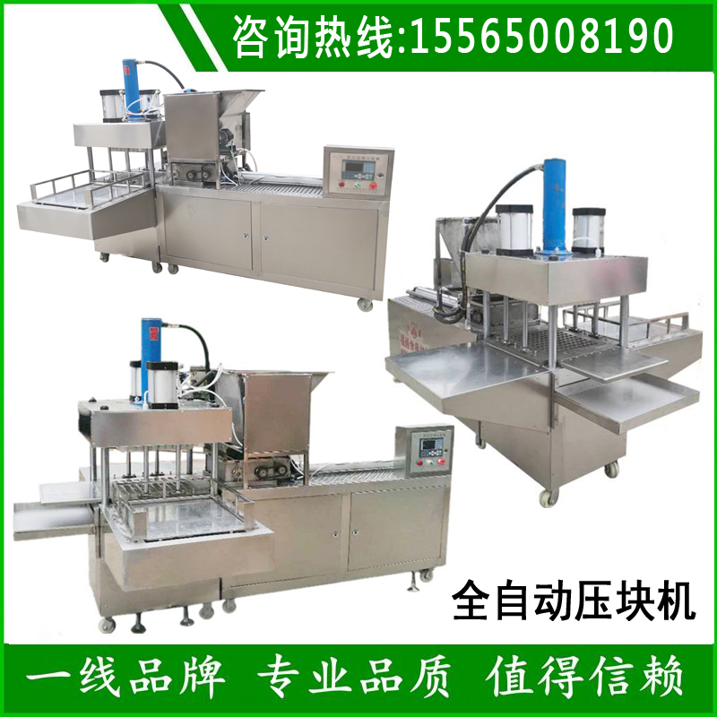邢文靜全自動(dòng)壓塊機(jī).jpg