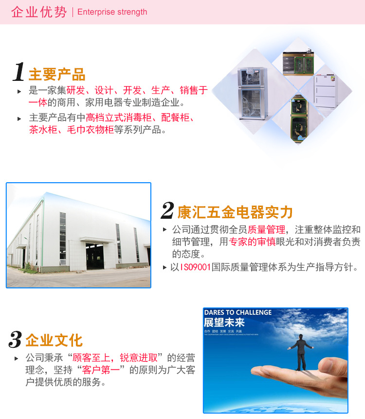 廠家批發(fā) 商用智能消毒碗柜 高檔熱風(fēng)循環(huán)餐具消毒柜500L