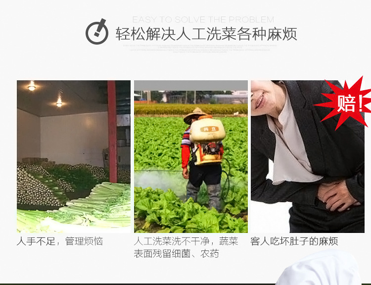 悍舒商用臭氧氣泡消毒洗菜機(jī) 果蔬清洗機(jī) 商用全自動洗菜設(shè)備