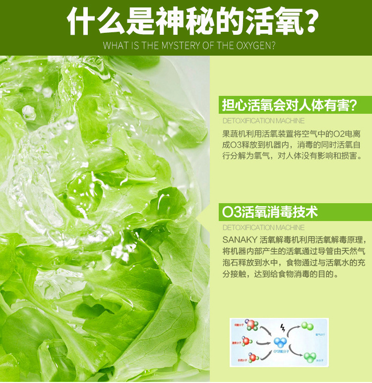 悍舒蔬果清洗臭氧消毒氣泡洗菜機(jī)商用消毒洗菜設(shè)備果蔬洗菜機(jī)