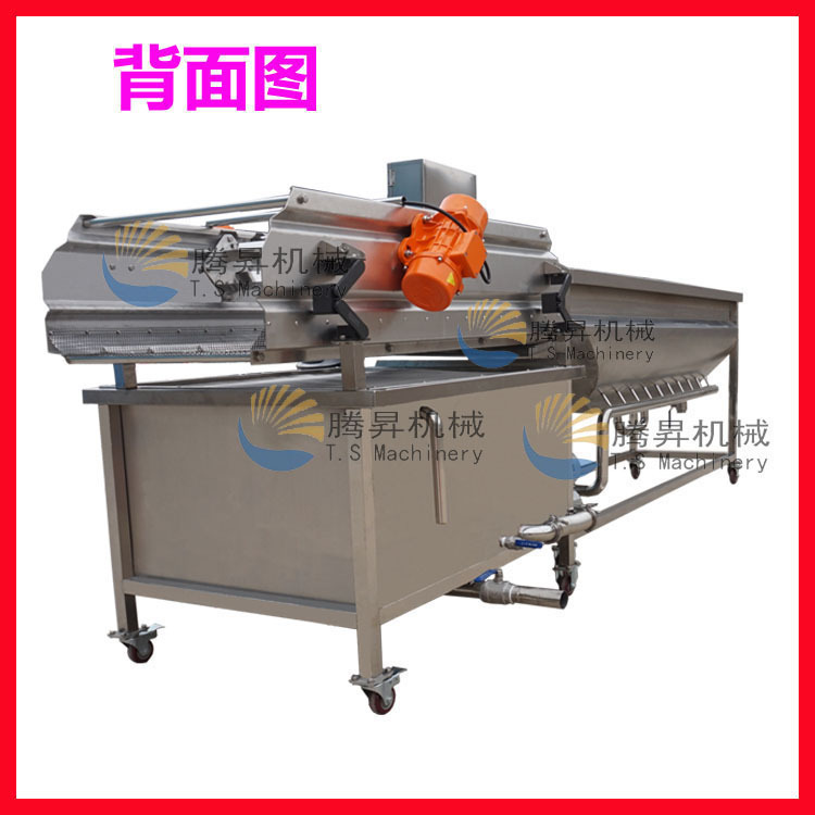 洗菜機(jī) 商用渦流洗菜機(jī) 震動(dòng)瀝水生產(chǎn)線 蔬菜清洗機(jī) 廠家直銷