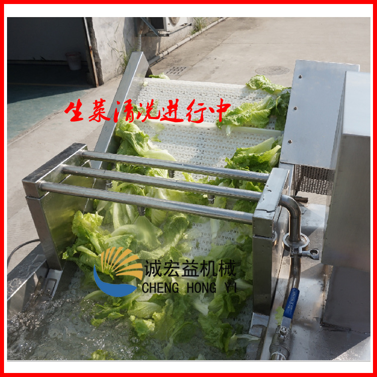 廠家供應(yīng)連續(xù)式馬蹄清洗機|全自動洗菜機|蔬菜清洗機商用