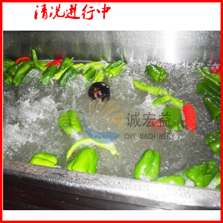 廠家供應(yīng)連續(xù)式馬蹄清洗機|全自動洗菜機|蔬菜清洗機商用