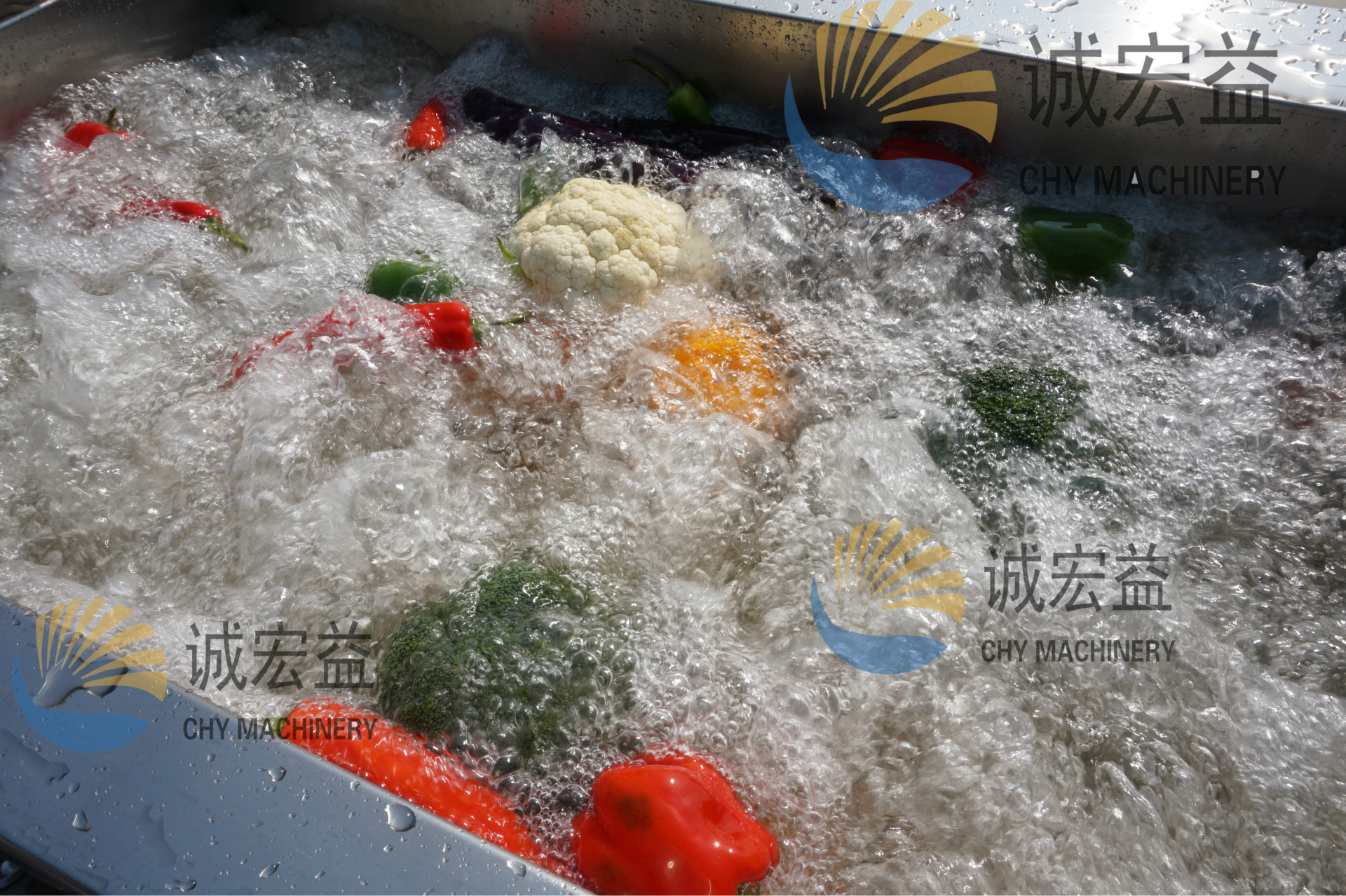 廠家供應(yīng)連續(xù)式馬蹄清洗機|全自動洗菜機|蔬菜清洗機商用
