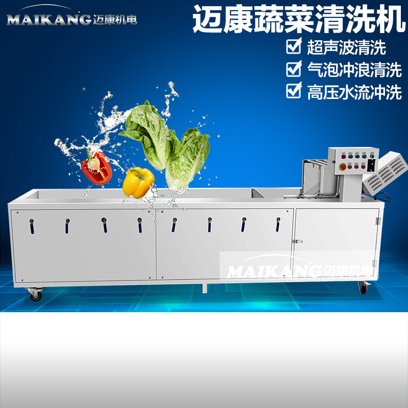 新春推出大型氣泡臭氧洗菜機(jī) 商用蔬菜清洗機(jī) 特價臭氧洗菜機(jī)設(shè)備