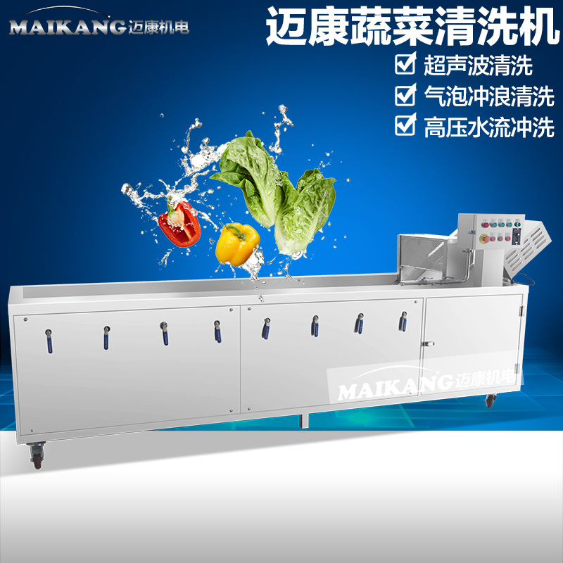 新春推出大型氣泡臭氧洗菜機(jī) 商用蔬菜清洗機(jī) 特價臭氧洗菜機(jī)設(shè)備