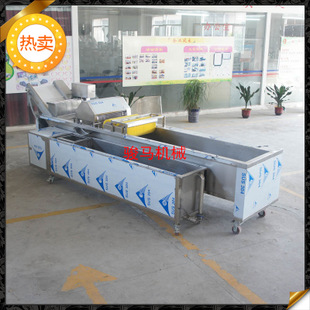 翻浪洗菜機 果蔬加工設備 洗菜機商用 果蔬洗菜機 符合衛(wèi)生標準