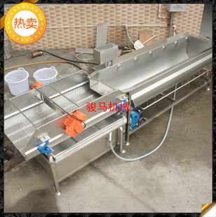 翻浪洗菜機 果蔬加工設備 洗菜機商用 果蔬洗菜機 符合衛(wèi)生標準