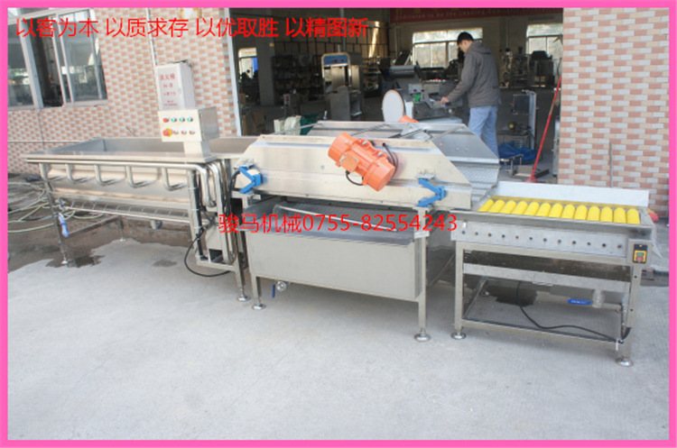 翻浪洗菜機 果蔬加工設備 洗菜機商用 果蔬洗菜機 符合衛(wèi)生標準