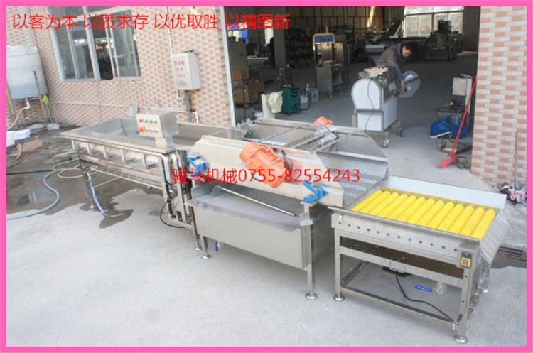 翻浪洗菜機 果蔬加工設備 洗菜機商用 果蔬洗菜機 符合衛(wèi)生標準