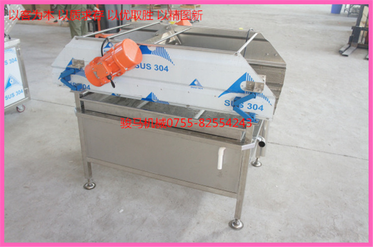 翻浪洗菜機 果蔬加工設備 洗菜機商用 果蔬洗菜機 符合衛(wèi)生標準