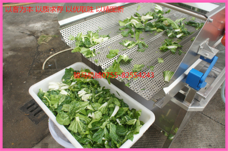 翻浪洗菜機 果蔬加工設備 洗菜機商用 果蔬洗菜機 符合衛(wèi)生標準