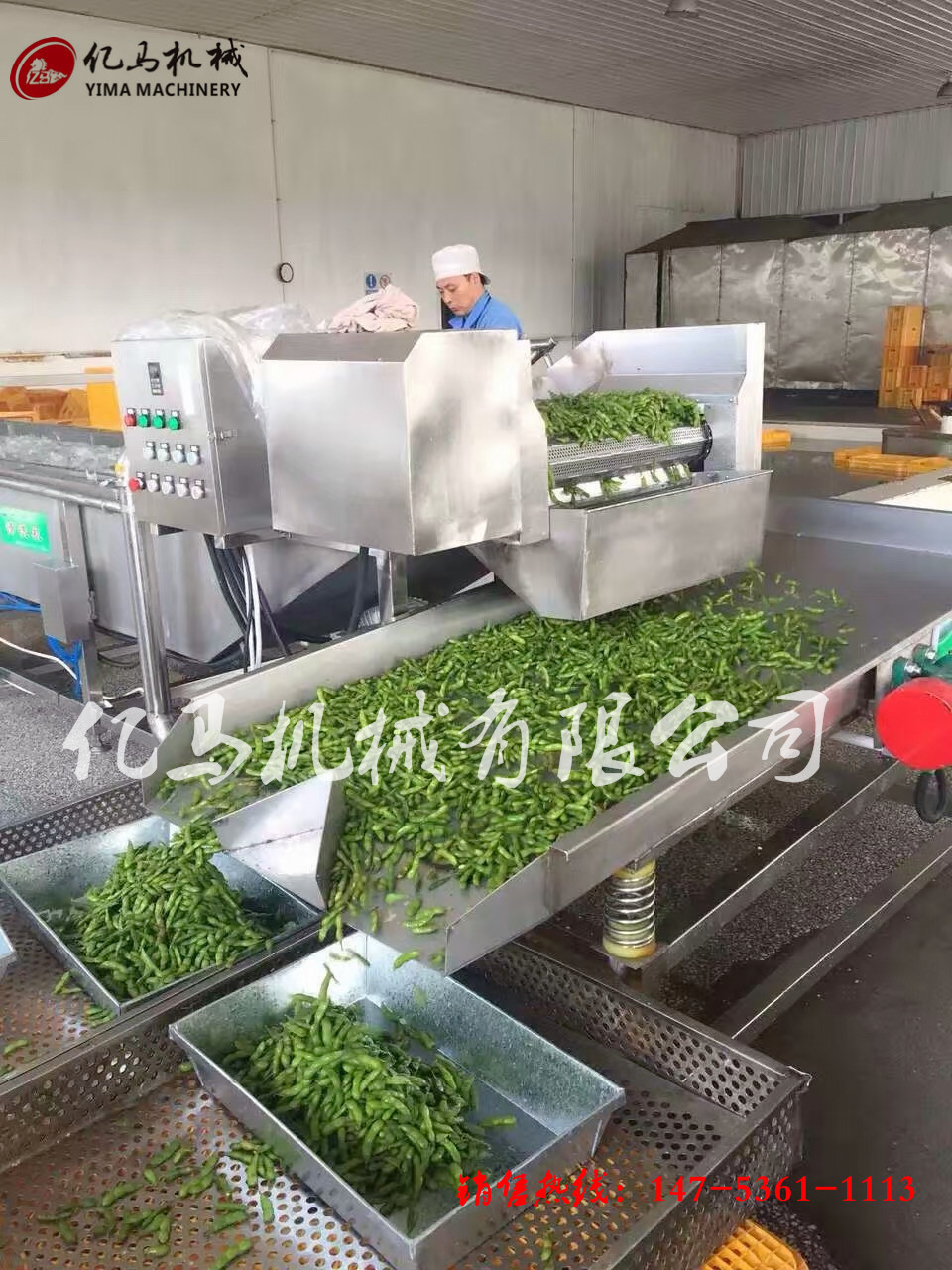鼓泡氣泡清洗機(jī) 醬菜脫鹽清洗機(jī) 商用洗菜機(jī)全自動(dòng)果蔬清洗機(jī)