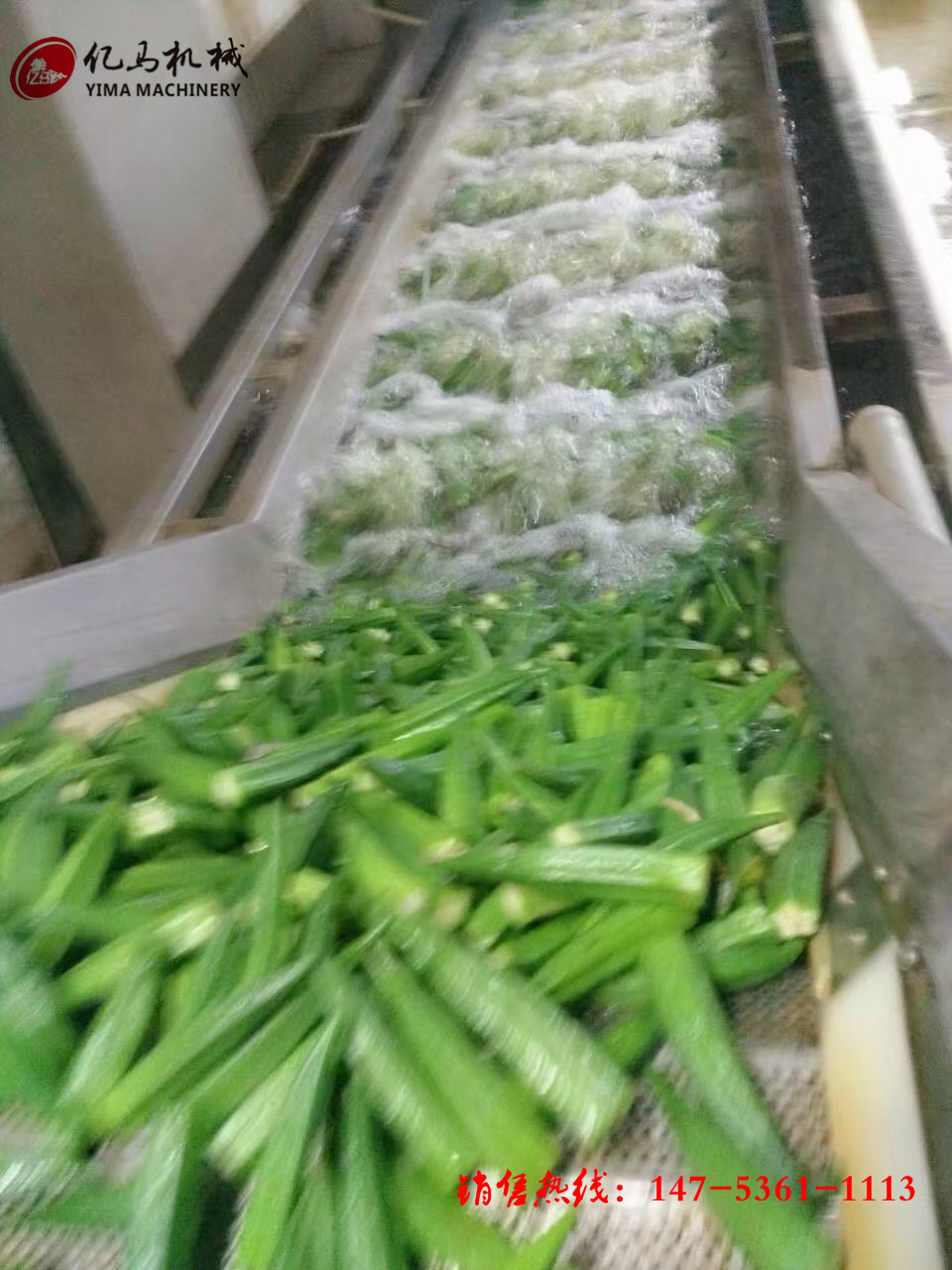 鼓泡氣泡清洗機(jī) 醬菜脫鹽清洗機(jī) 商用洗菜機(jī)全自動(dòng)果蔬清洗機(jī)