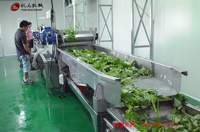鼓泡氣泡清洗機(jī) 醬菜脫鹽清洗機(jī) 商用洗菜機(jī)全自動(dòng)果蔬清洗機(jī)
