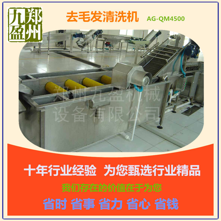 廠家批發(fā) 臭氧自動翻轉(zhuǎn)洗菜機 商用連續(xù)式洗菜機 毛刷去雜清洗