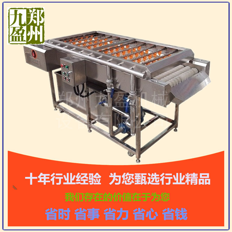 廠家批發(fā) 臭氧自動翻轉(zhuǎn)洗菜機 商用連續(xù)式洗菜機 毛刷去雜清洗