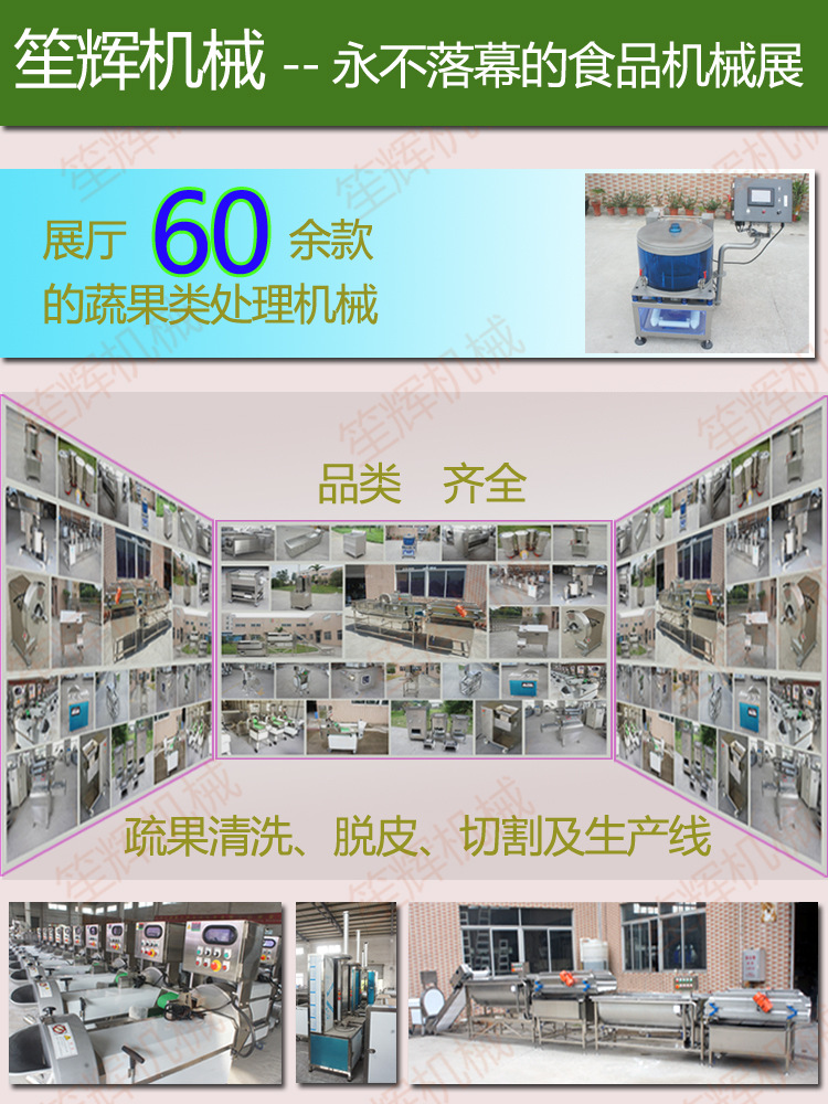 商用各季節(jié)大型蔬菜水果清洗機(jī) 蔬菜大棗清洗機(jī) 果蔬青菜類(lèi)洗菜機(jī)