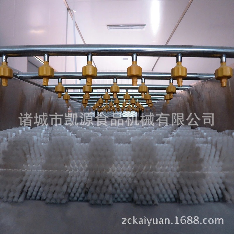 新鮮蔬菜清洗機/全自動氣泡清洗機/高效果蔬清洗/大型商用洗菜機