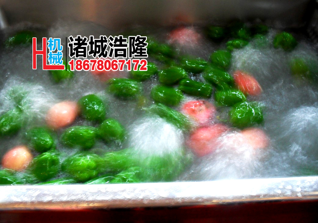 果蔬清洗機(jī) 酒店自動輸送蔬菜清洗機(jī) 商用超聲波洗菜機(jī)