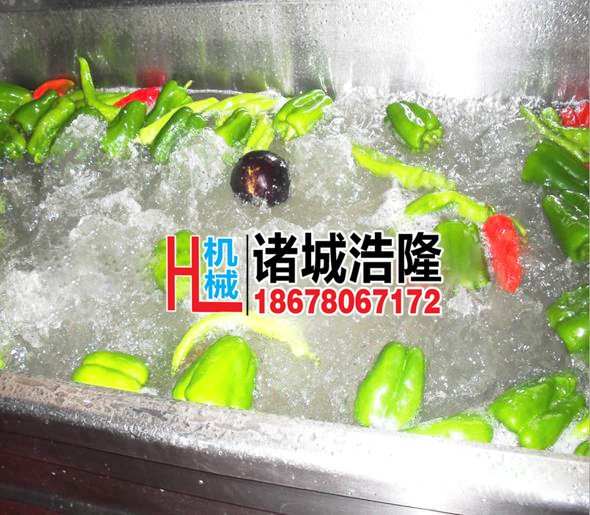 果蔬清洗機(jī) 酒店自動輸送蔬菜清洗機(jī) 商用超聲波洗菜機(jī)