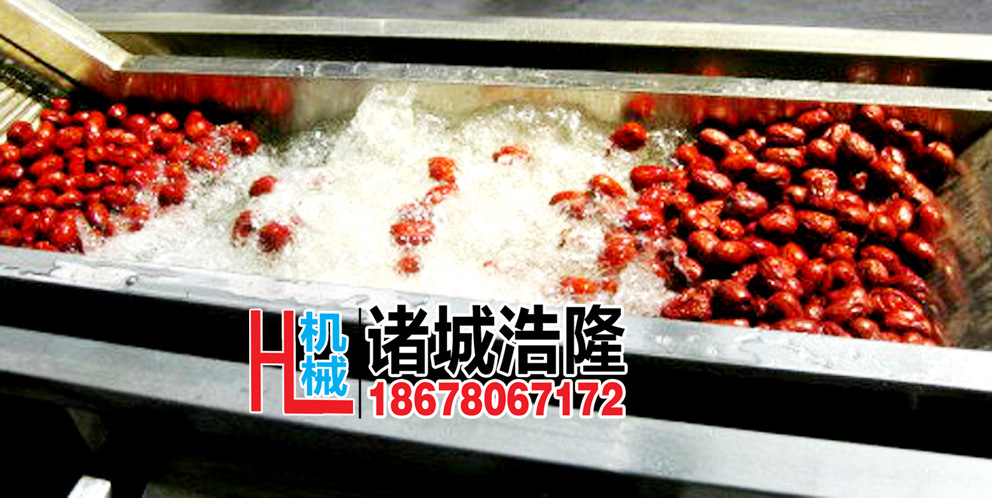 水果清洗機(jī)1副本