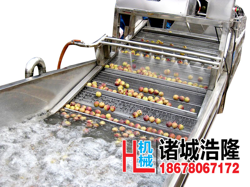 果蔬清洗機(jī) 酒店自動輸送蔬菜清洗機(jī) 商用超聲波洗菜機(jī)