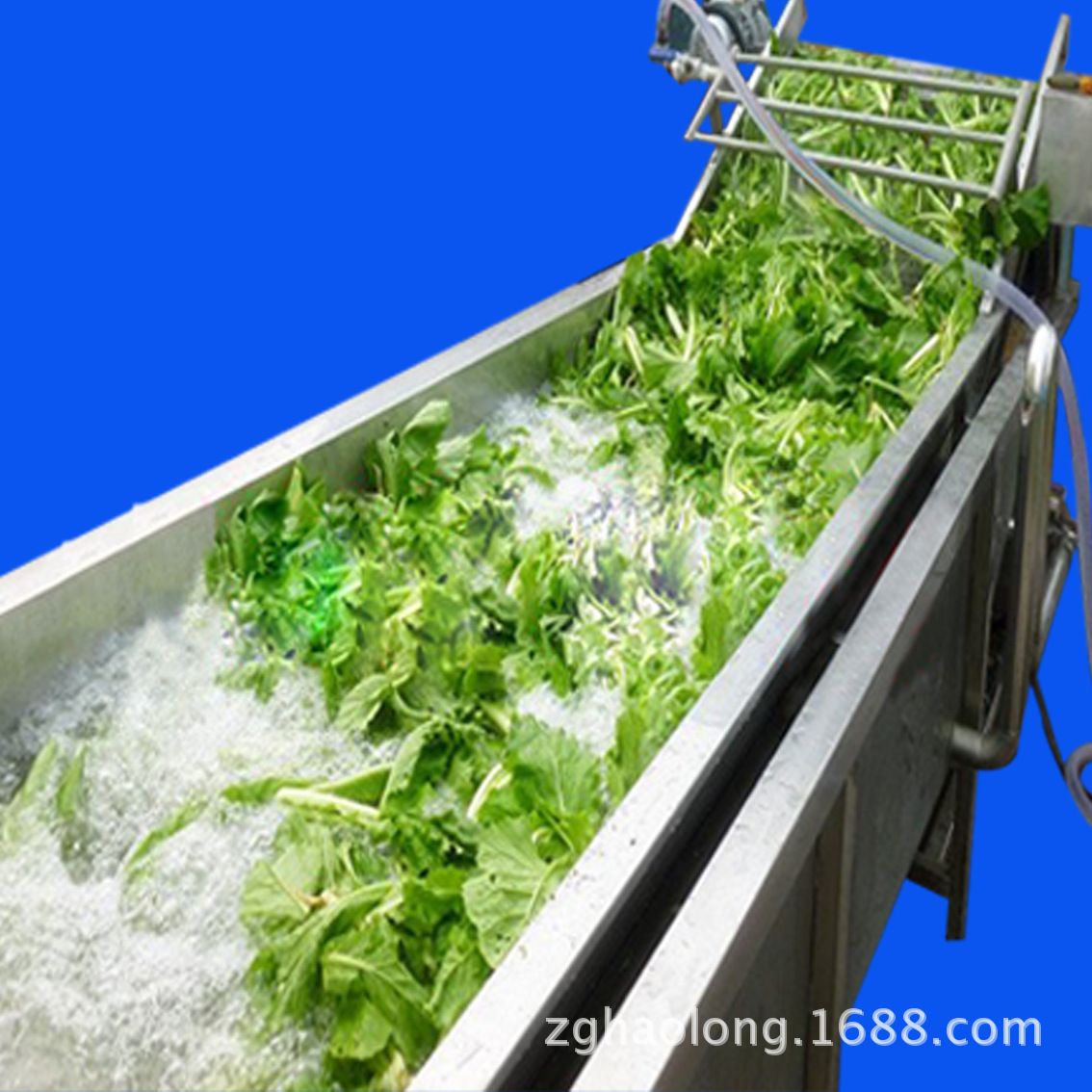 果蔬清洗機(jī) 酒店自動輸送蔬菜清洗機(jī) 商用超聲波洗菜機(jī)