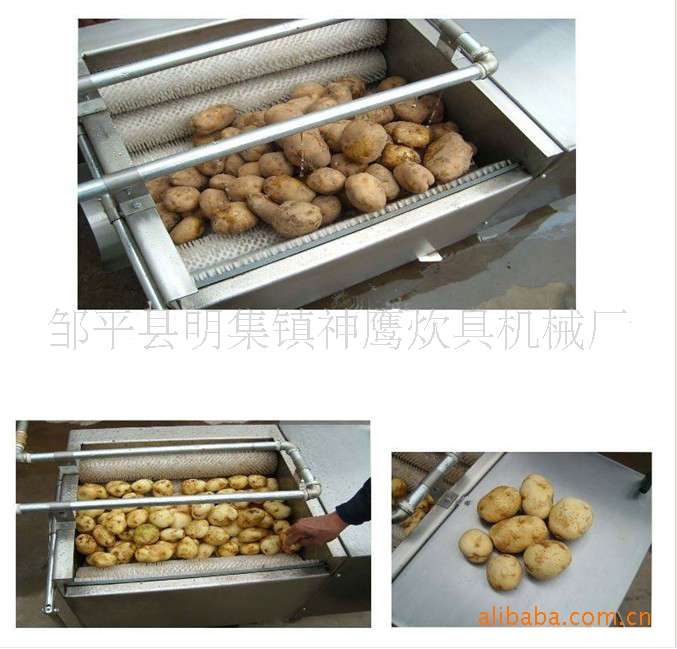 供應(yīng) 神鷹商用洗菜機(jī)(CX100)大型食堂洗菜機(jī) 蓮藕清洗脫皮機(jī)