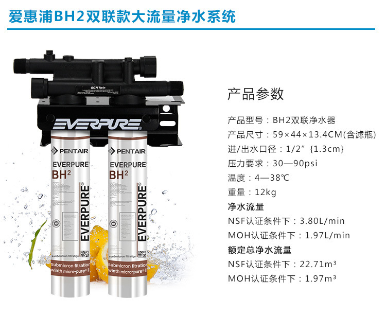 美國(guó)進(jìn)口愛惠浦（Everpure）BH2 雙聯(lián)凈水器 過(guò)濾系統(tǒng) 商用