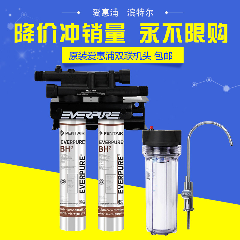 美國(guó)進(jìn)口愛惠浦（Everpure）BH2 雙聯(lián)凈水器 過(guò)濾系統(tǒng) 商用