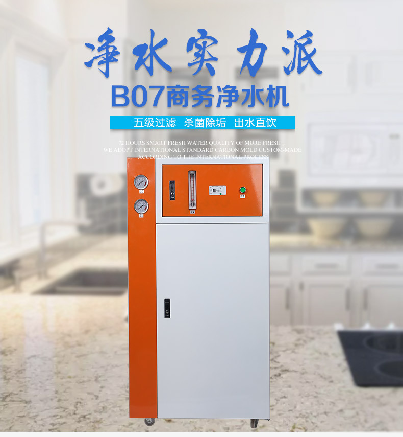 銷售B07商務(wù)凈水器 RO膜反滲透凈水機商用水處理設(shè)備商務(wù)直飲機
