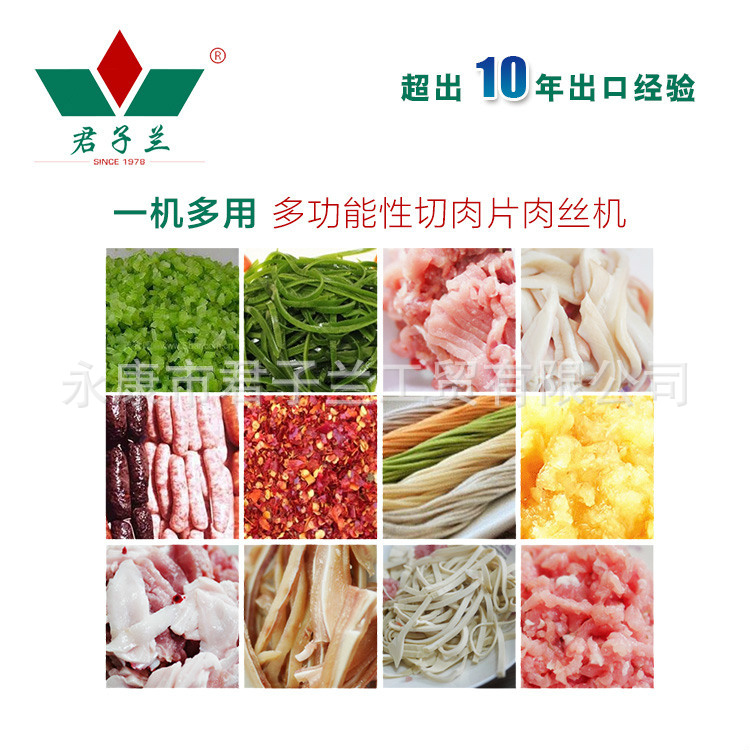 電動絞肉機(jī) 商用多功能小型切肉片機(jī)切肉絲機(jī)鮮肉自動切丁機(jī)