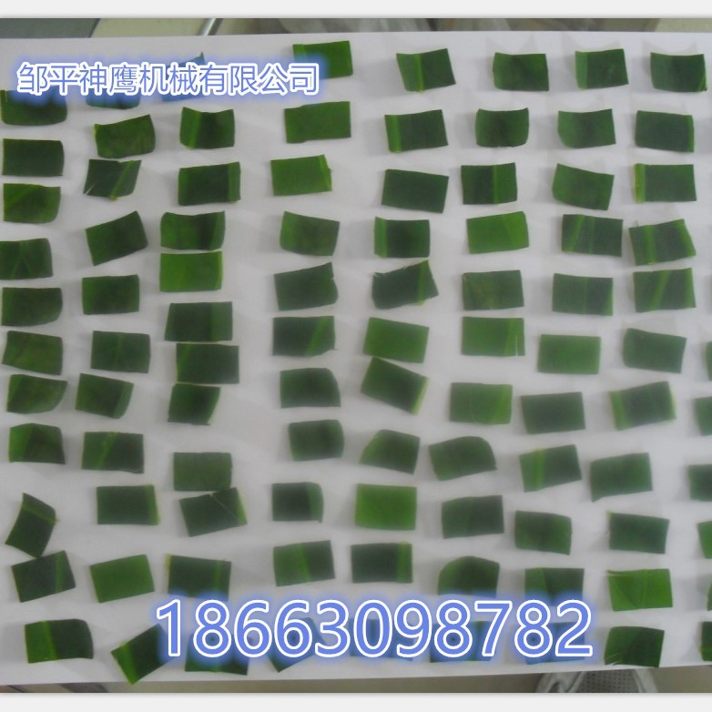 多功能商用切菜機(jī) 全自動(dòng)家用切菜機(jī) 包子餡菜陷機(jī) 拌餡機(jī)