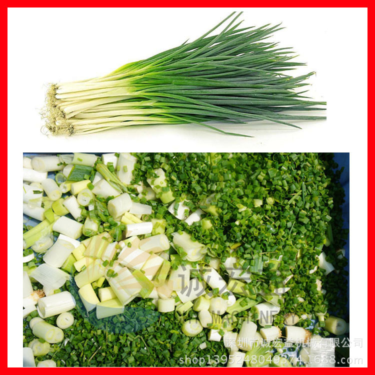 廠家熱銷臺(tái)灣進(jìn)口 商用臺(tái)式切菜機(jī)切粒機(jī) 切段機(jī)
