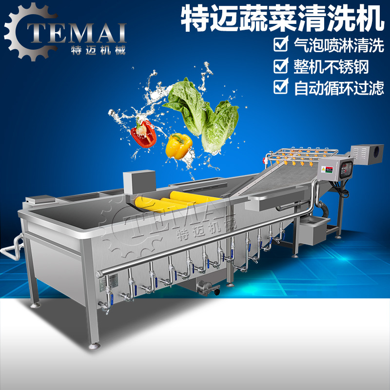 洗菜廠家直銷商用洗菜機(jī)金針菇清洗機(jī)臭氧殺菌