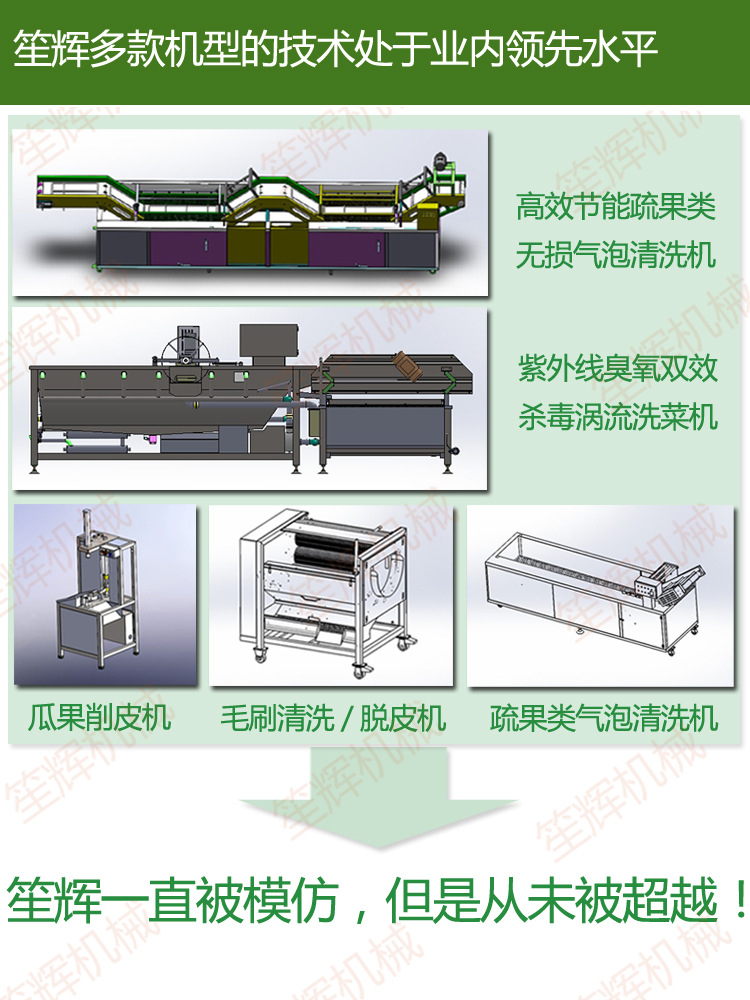 供應(yīng)清洗機WL-24 專業(yè)臭氧消毒洗大棗 去雜去毛發(fā)洗菜機 商用
