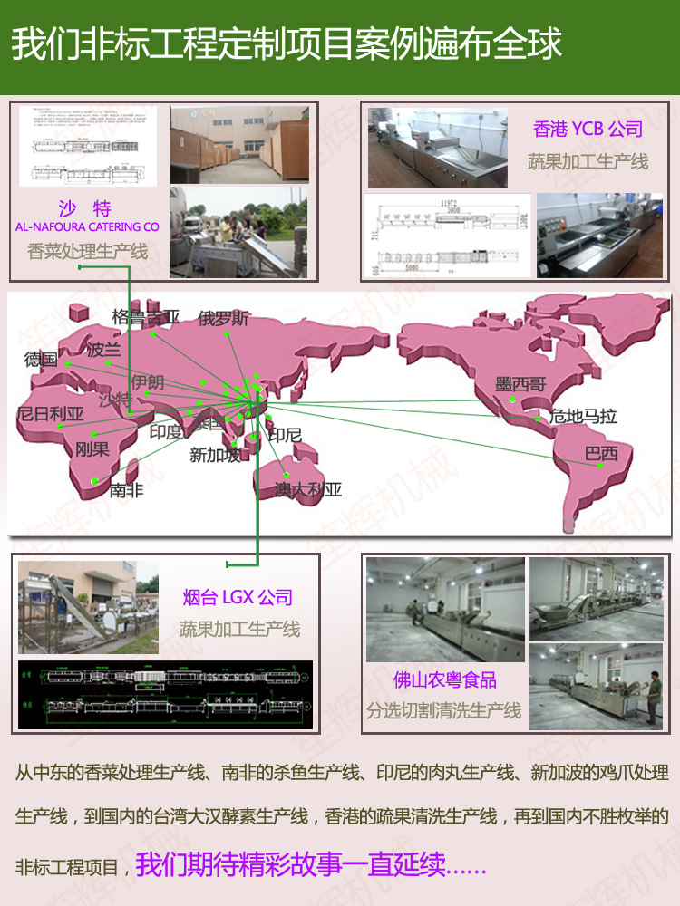 供應(yīng)清洗機WL-24 專業(yè)臭氧消毒洗大棗 去雜去毛發(fā)洗菜機 商用